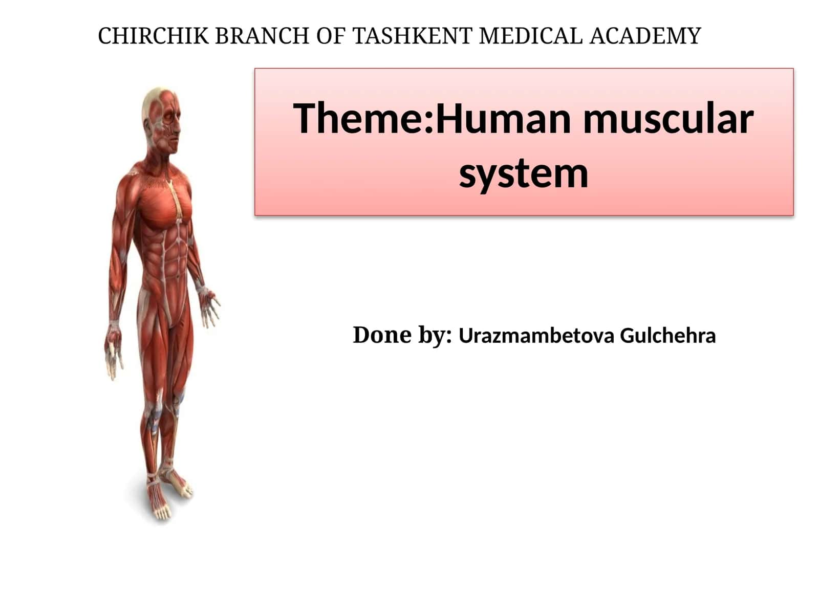 Human muscular system 1