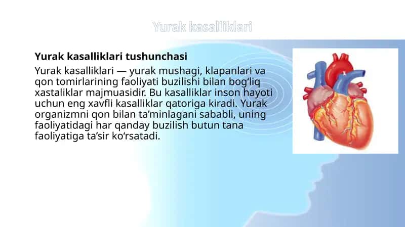 Yurak kasalliklari 1