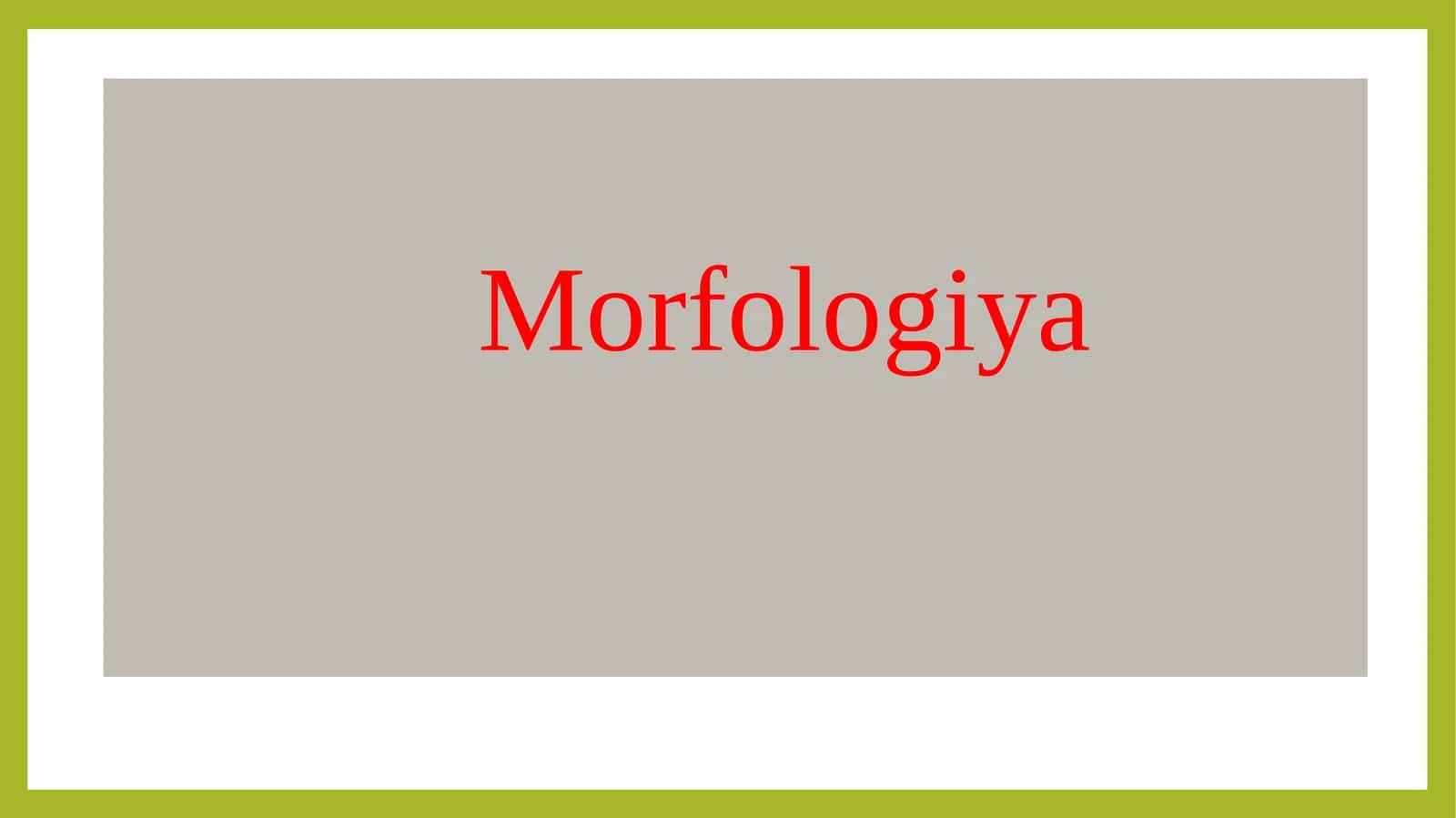 Morfologiya 1
