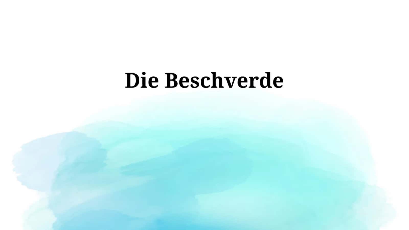 Die Beschwerde 1