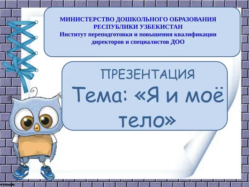 Я и моё тело 1