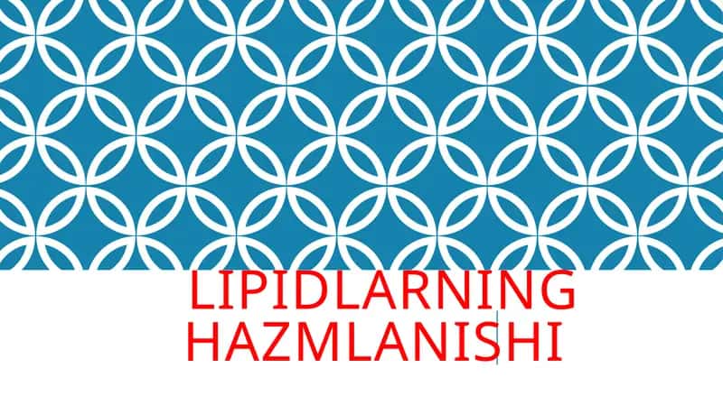 Lipidlarning hazmlanishi 1