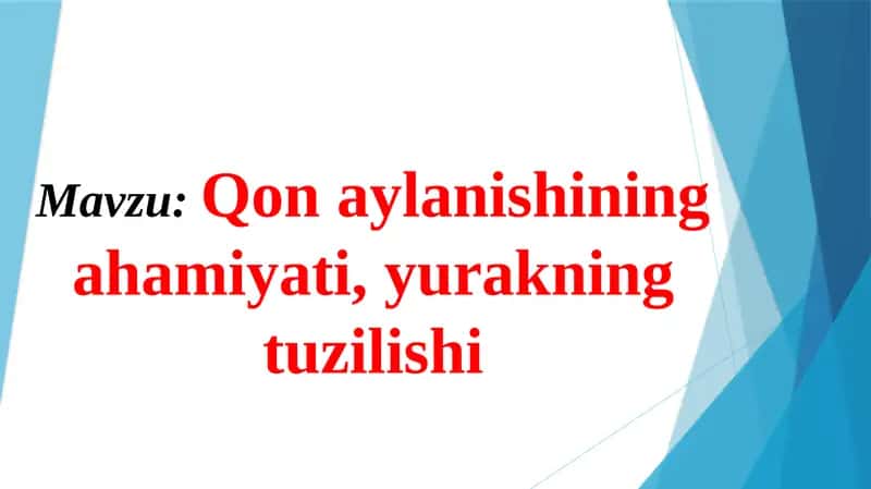 Qonaylanishning ahamiyati, yurakning tuzilishi 1
