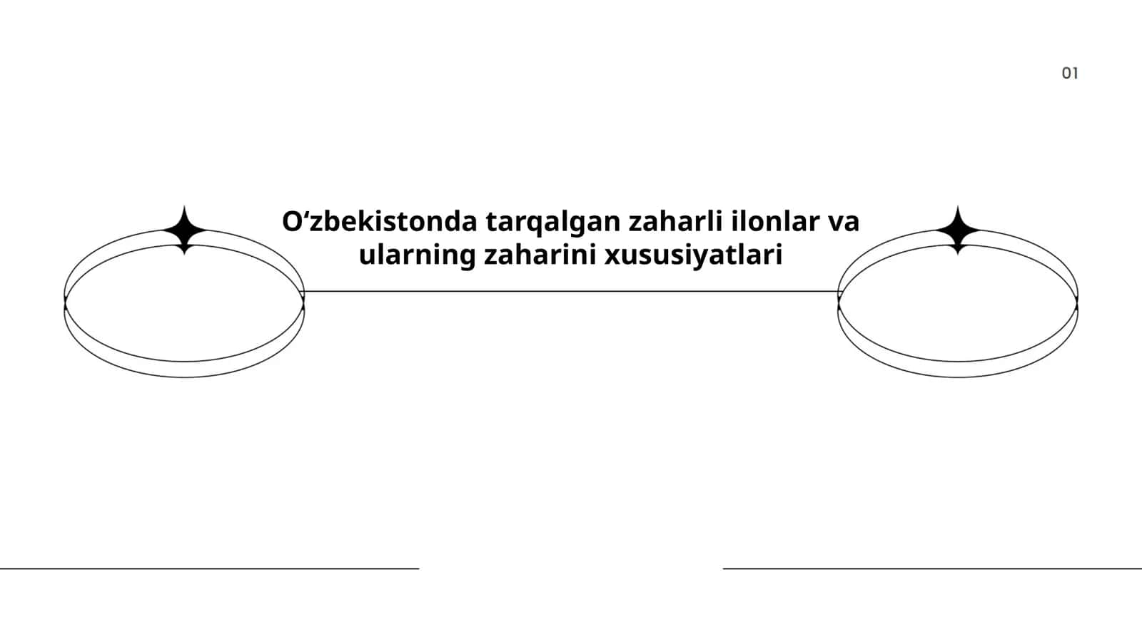 Zaharli ilonlar va ularning xususiyatlari 1