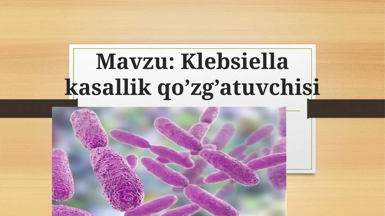 Klebsiella kasallik qo’zg’atuvchisi 1