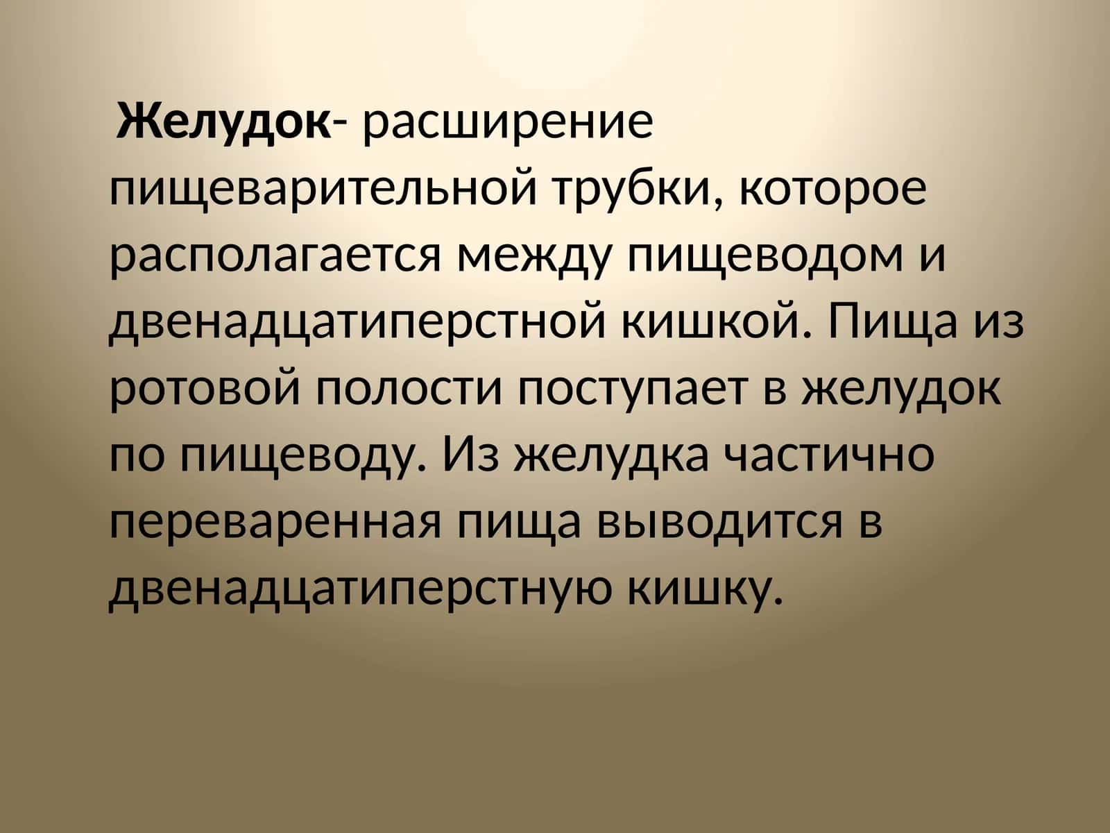 Желудок 1