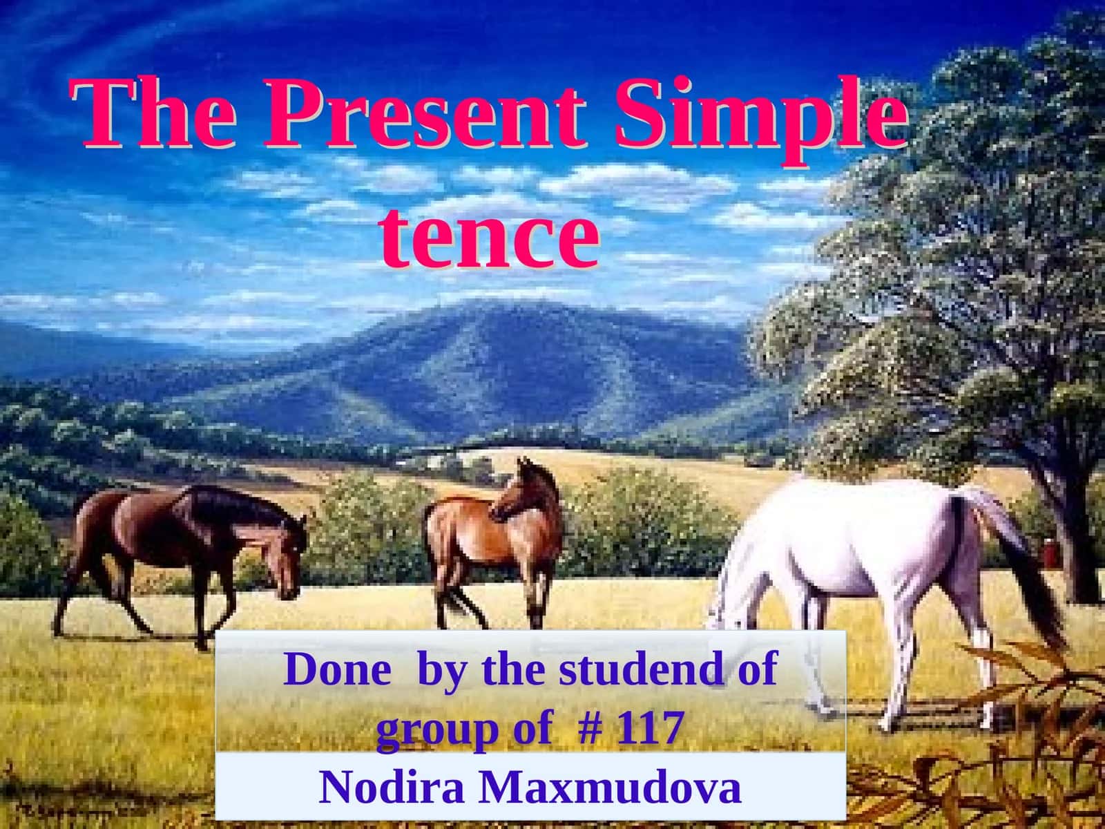 The Present Simple 1