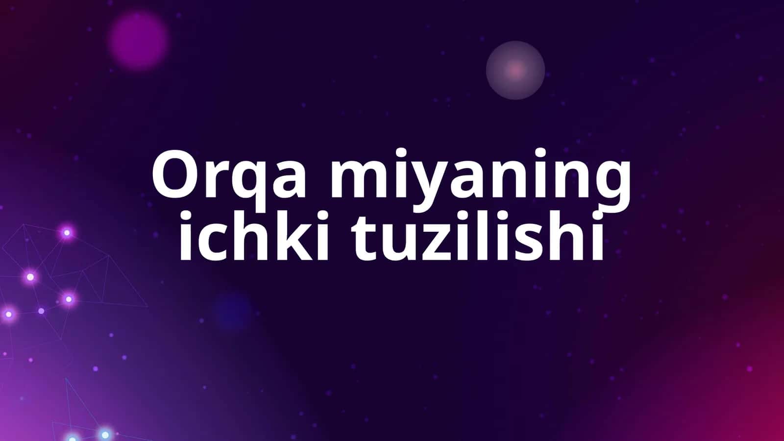Orqamiyaningichkituzilishi 1