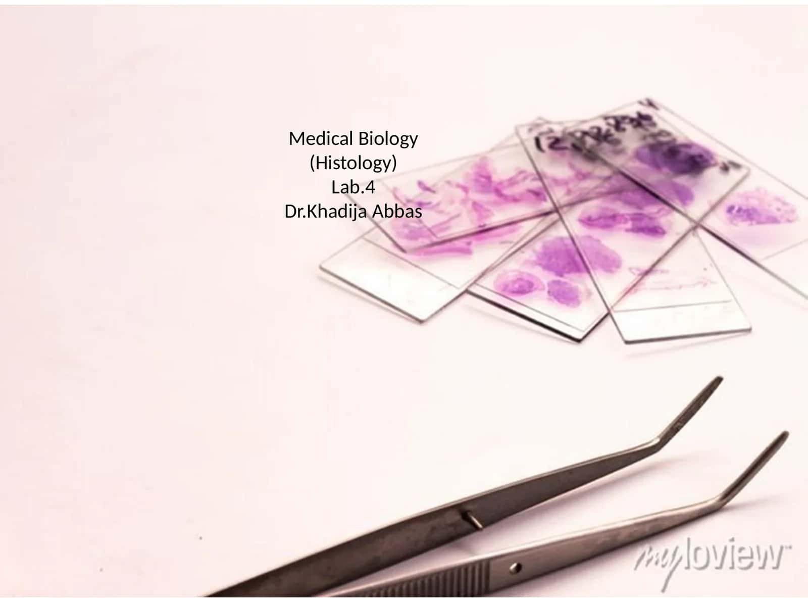 An Introduction to FFPE Tissue Preparation 1