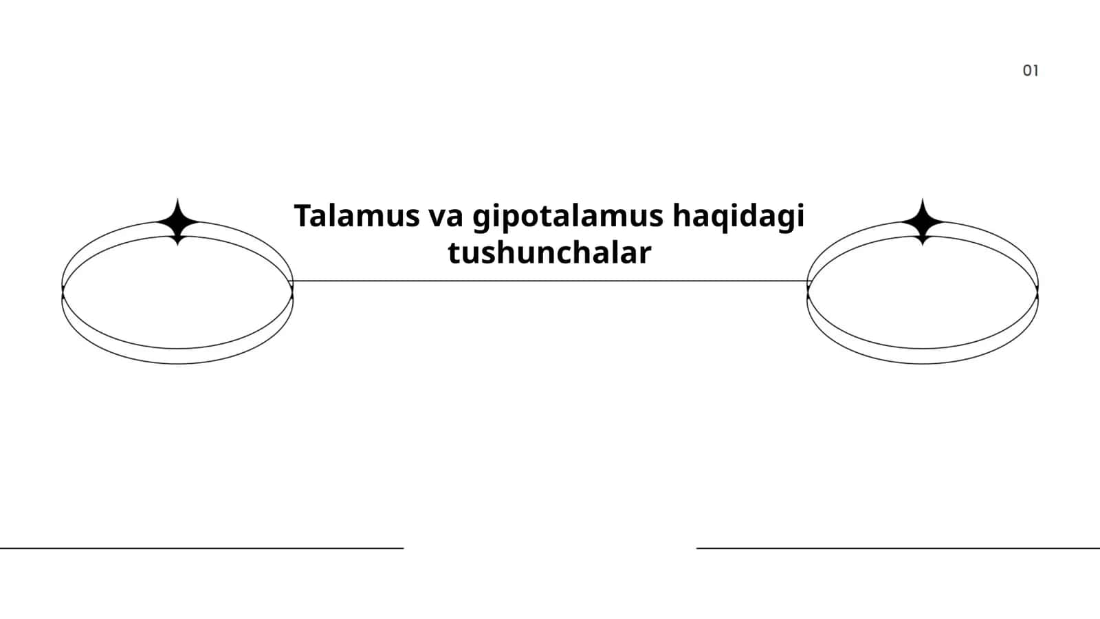 Talamus va gipotalamus haqidagi tushunchalar 1