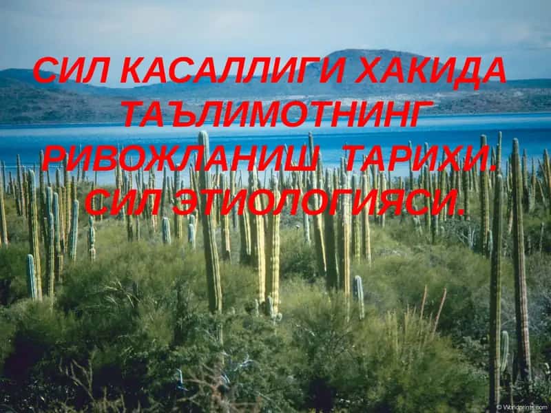 Sil kasalligi prezentatsiya 1