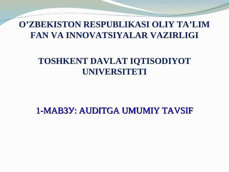 AUDITGA UMUMIY TAVSIF 1