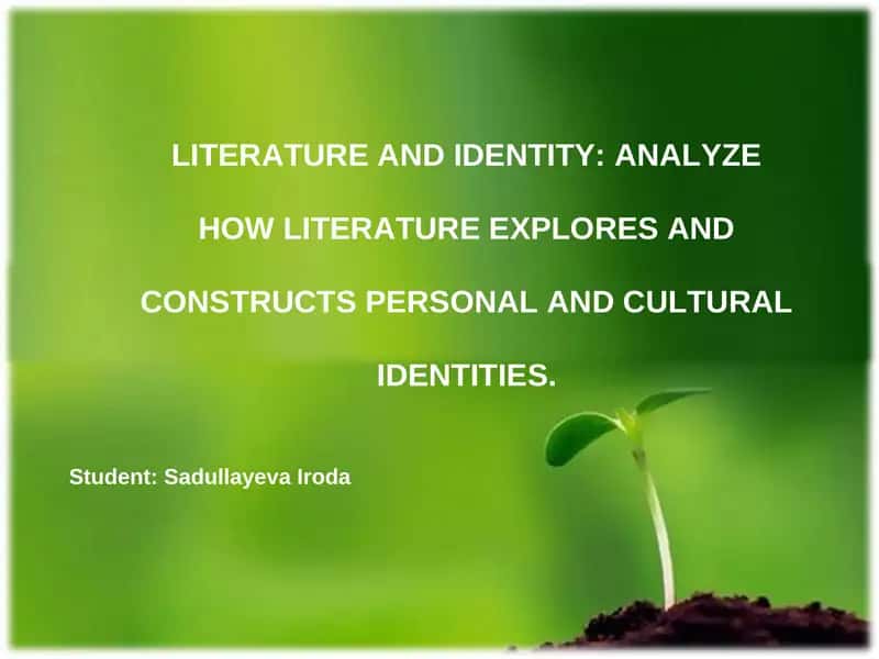PhD programme in Literature and Cultural Identity 1