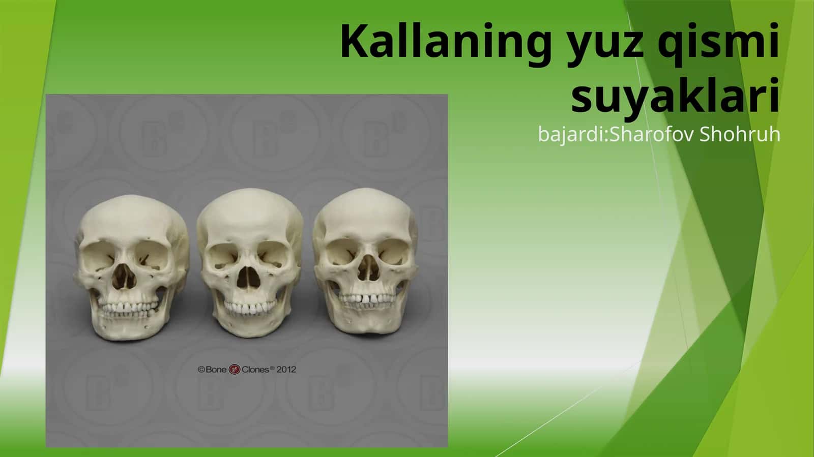 Ustkijag‘suyagi 1