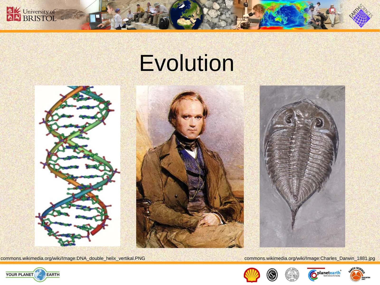 Evolution 1