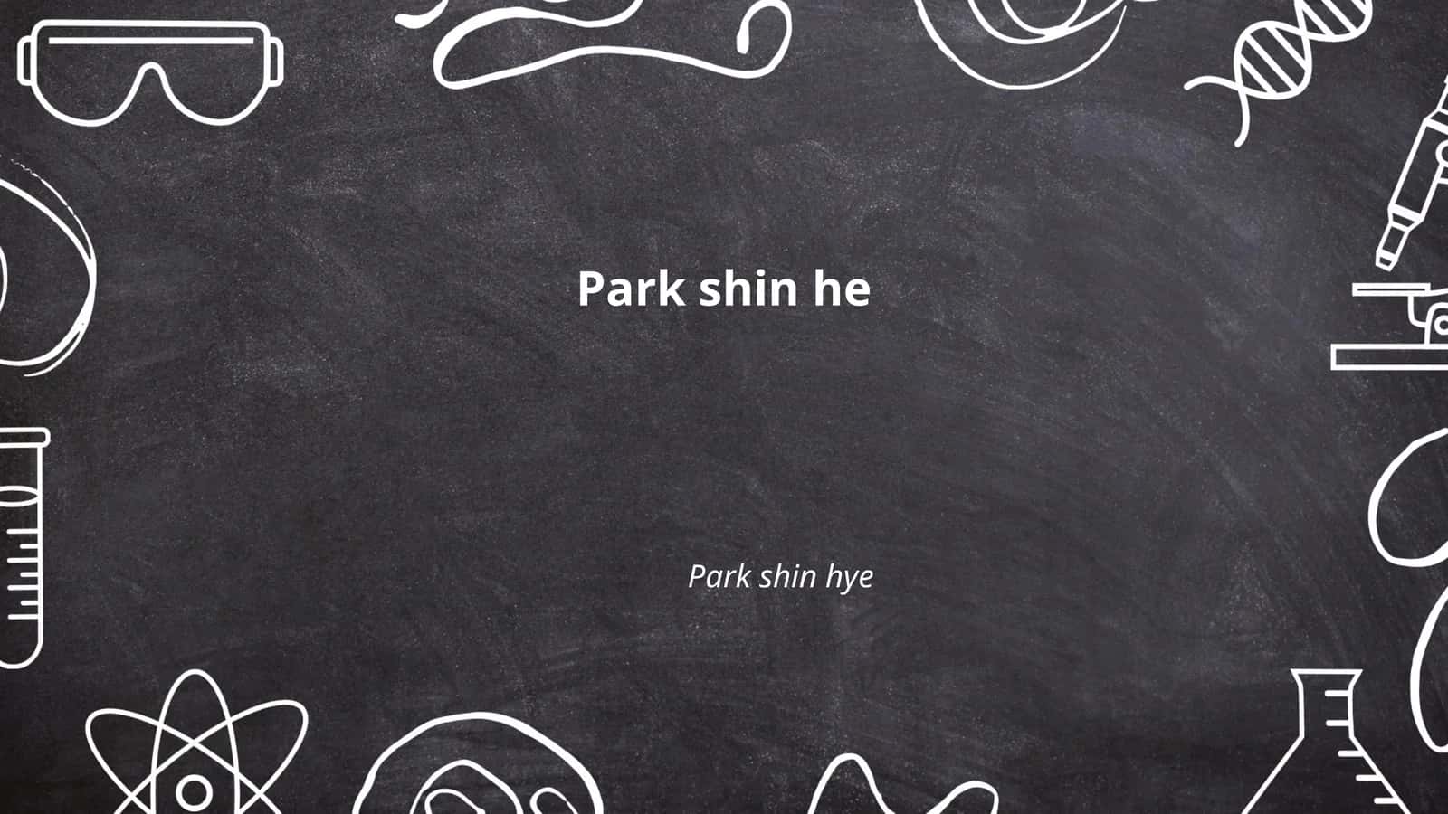 Park Shin Hye 1