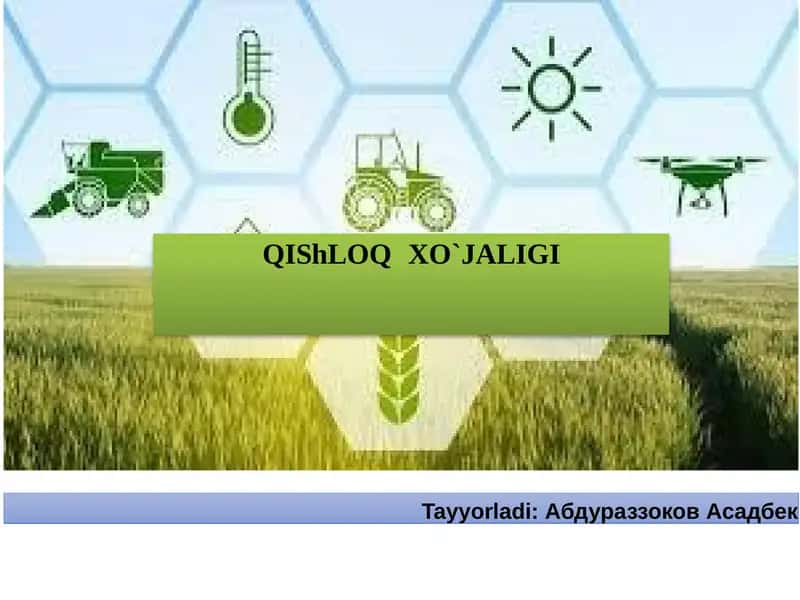 Qishloqxo’jaligi 1