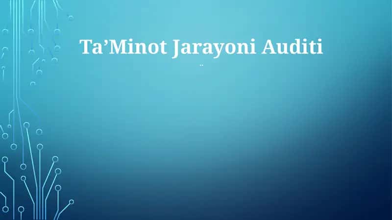 TaʼMinot Jarayoni Auditi 1