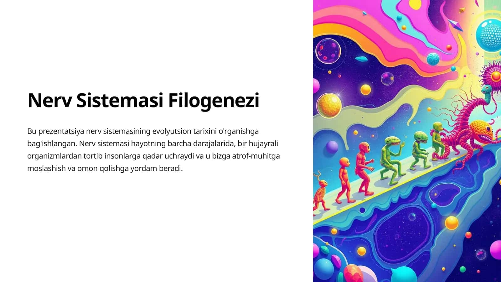 Nerv Sistemasi Filogenezi 1