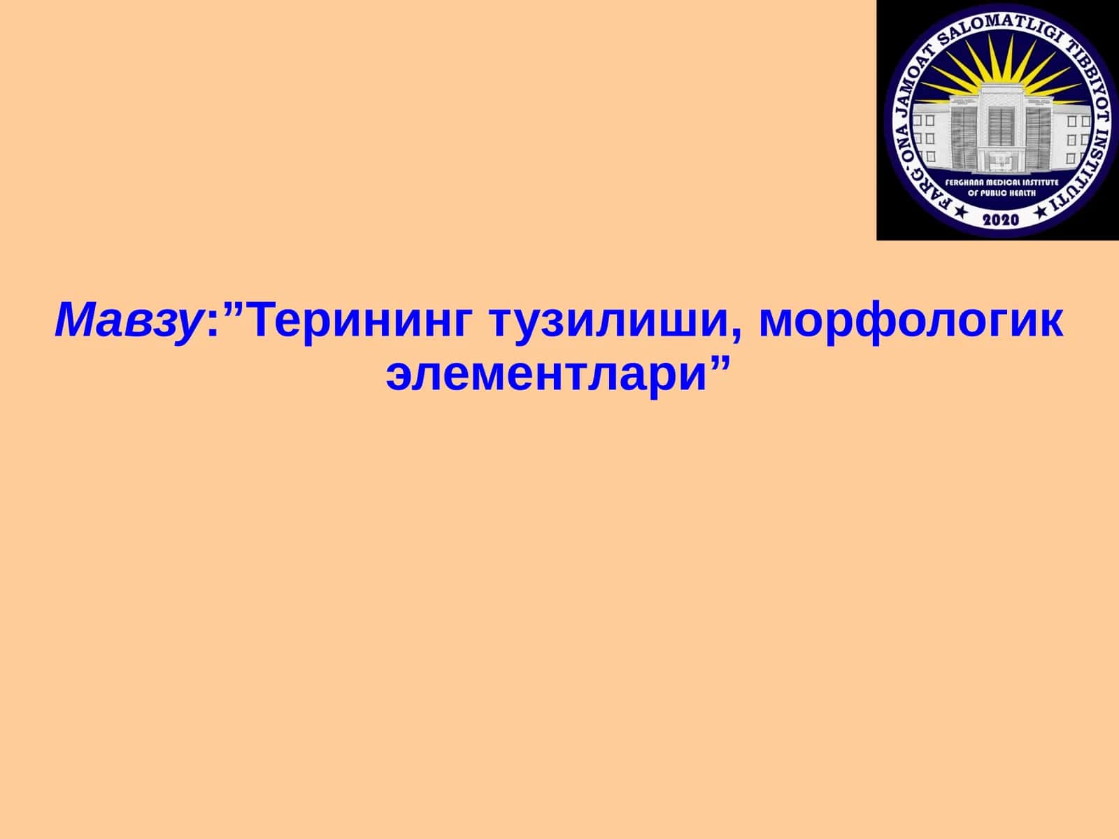 Терининг тузилиши, морфологик элементлари 1