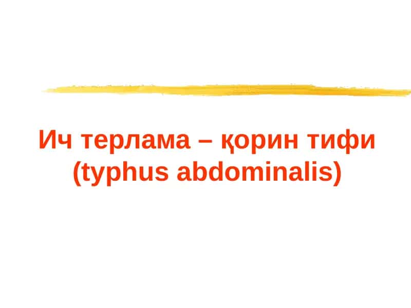 Ичтерлама–қорин тифи (typhusabdominalis) 1