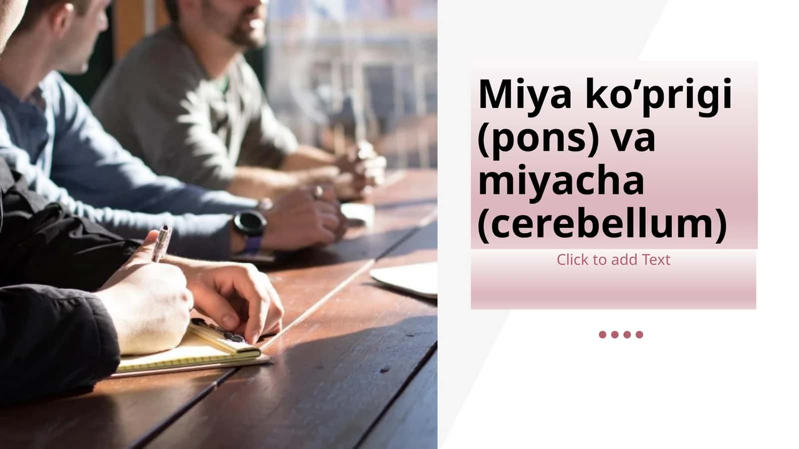 Miyako’prigi(pons) 1