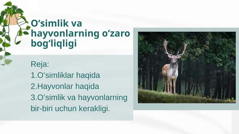 Oʻsimlik va hayvonlarning oʻzaro bogʻliqligi 1