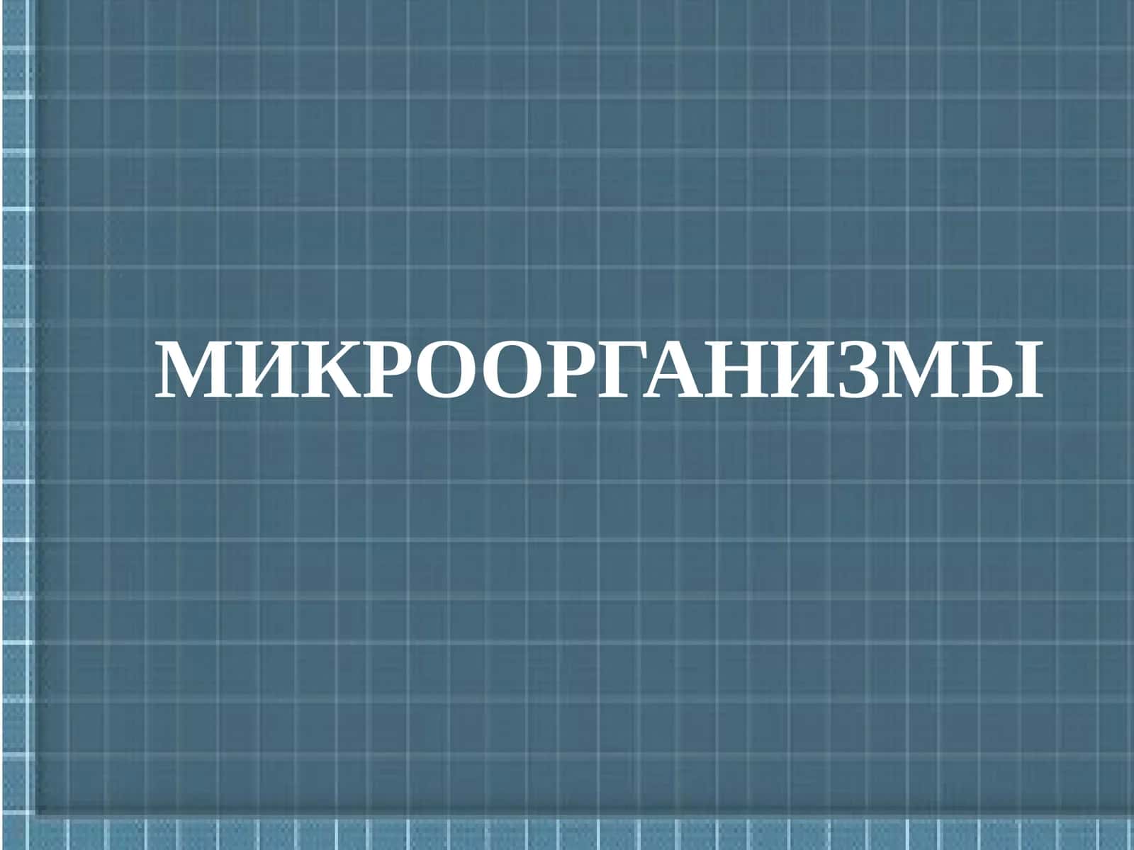 МИКРООРГАНИЗМЫ 1