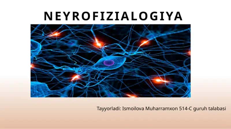 Neyrofizialogiya 1