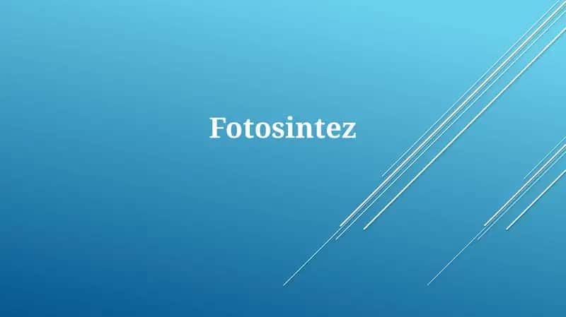 Fotosintez 1