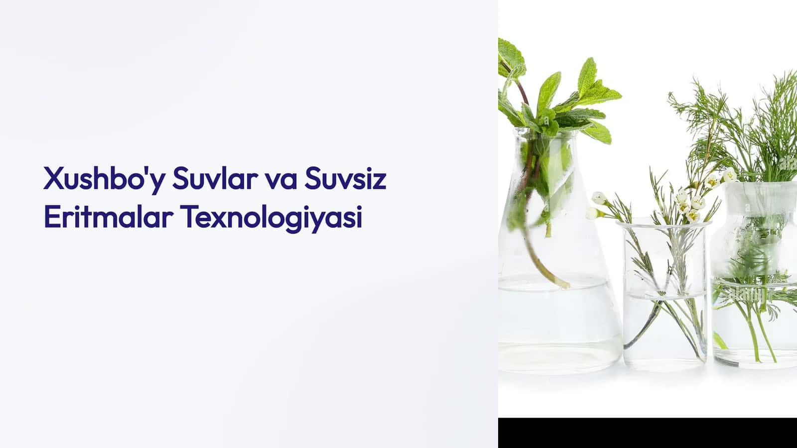 Xushbo'y Suvlar va Suvsiz Eritmalar Texnologiyasi 1