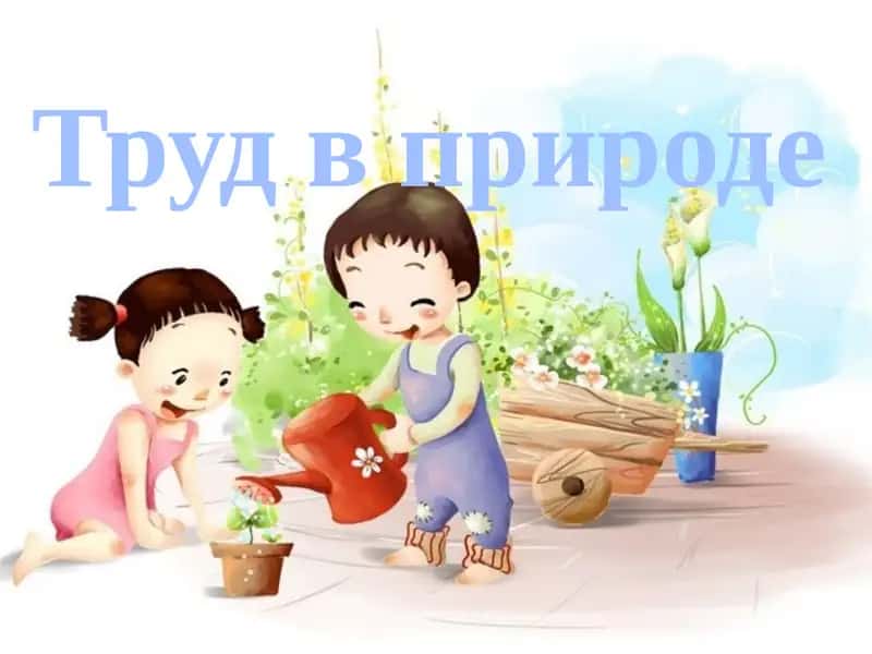 Труд в природе 1