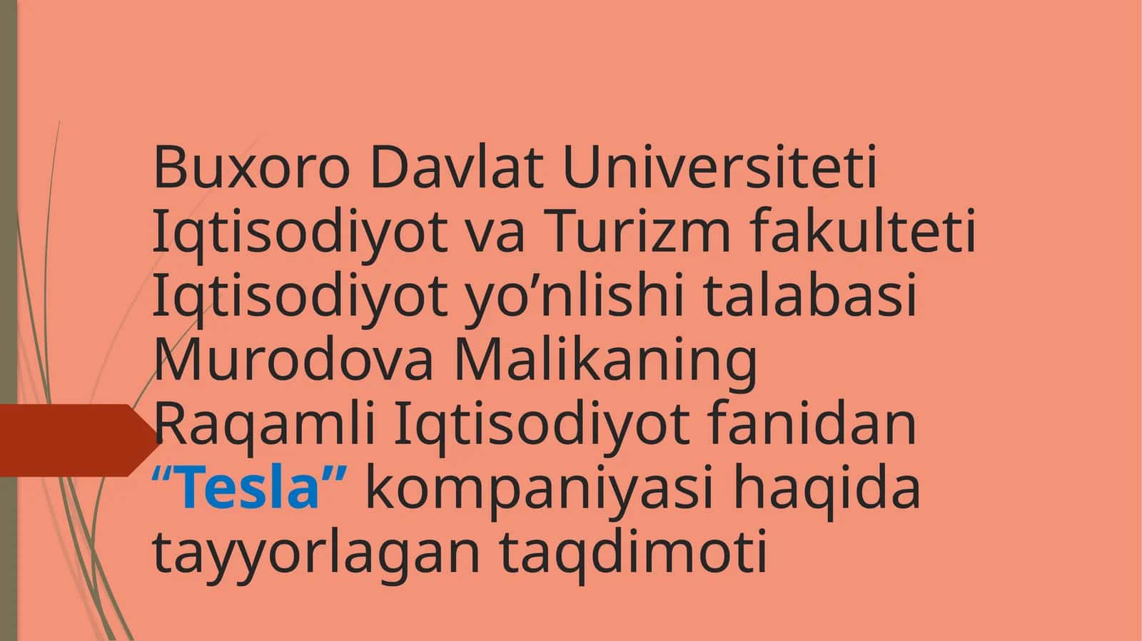 Mavzu: "Tesla" kompaniyasi haqida 1