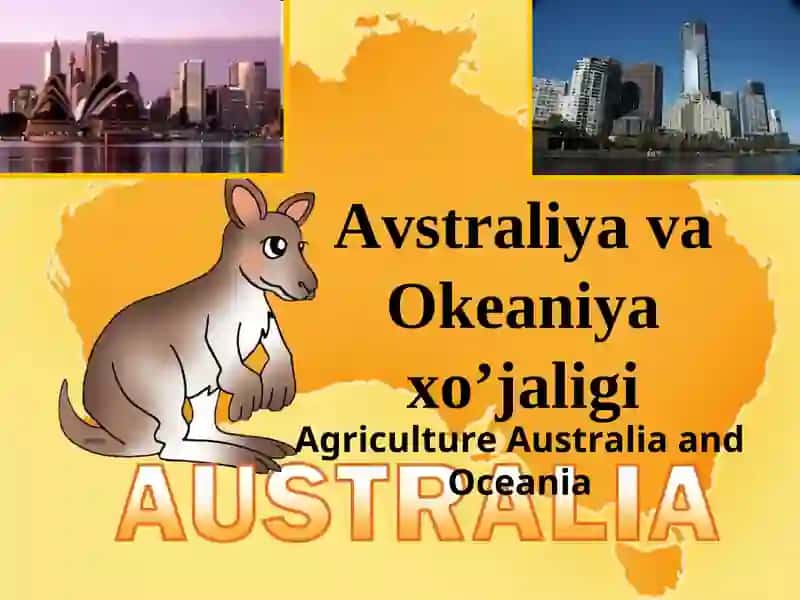 Avstraliya va Okeaniya xo’jaligi