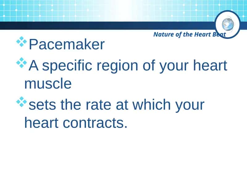 Nature of the Heart Beat 1