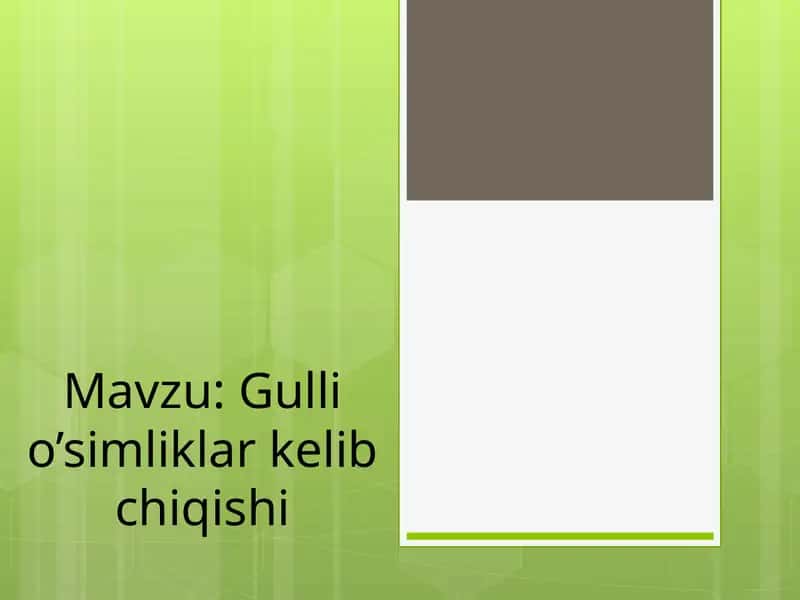 Gulli o’simliklar kelib chiqishi 1