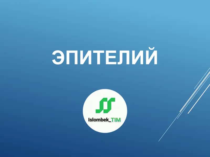 Эпителий 1
