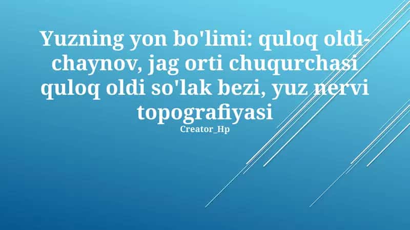 Yuz Nervining Topografiyasi va Shoxalari 1