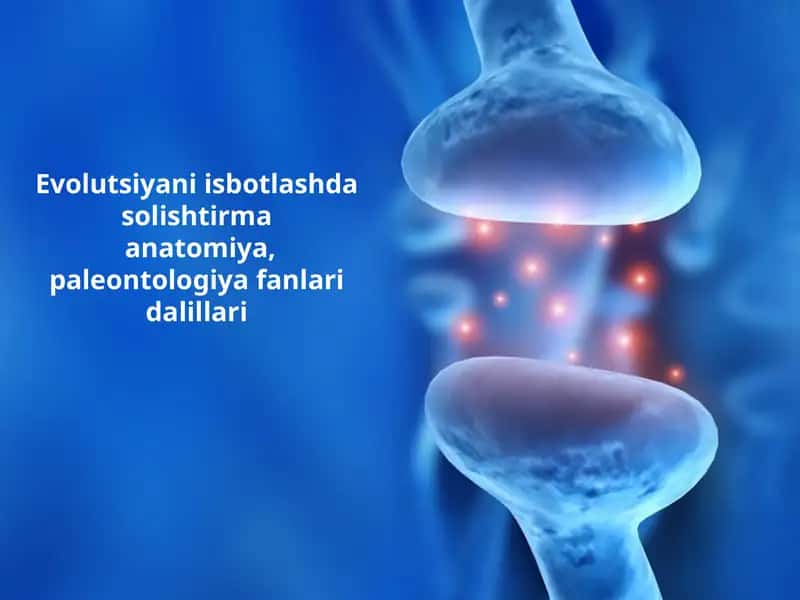 Evolutsiyani Isbotlashda Solishtirmaanatomiya 1