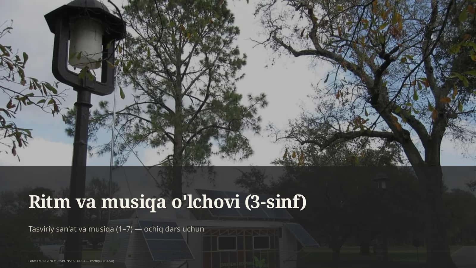 Ritm va musiqa o'lchovi (3-sinf) 1