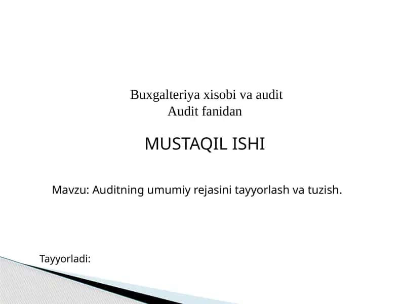 Auditning umumiy rejasini tayyorlash va tuzish 1