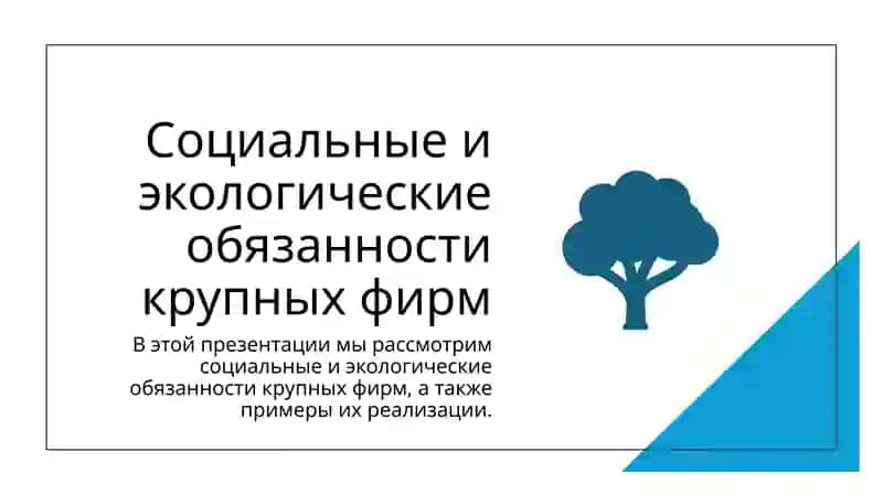 Социальные и экологические обязанности крупных фирм