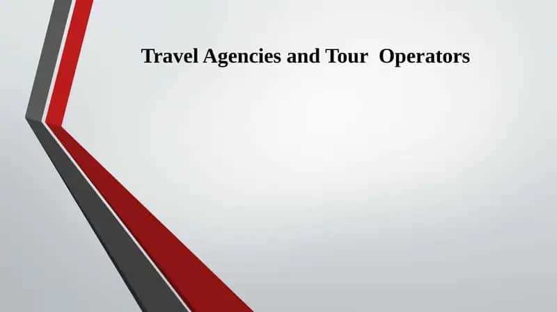 Travel Agencies and Tour Operators 1
