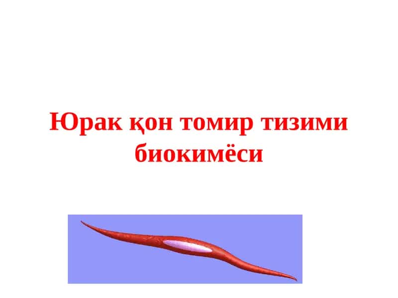 Юрак қон томир тизими биокимёси 1