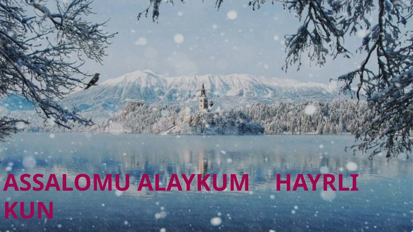 Xarakter haqida tushuncha 1
