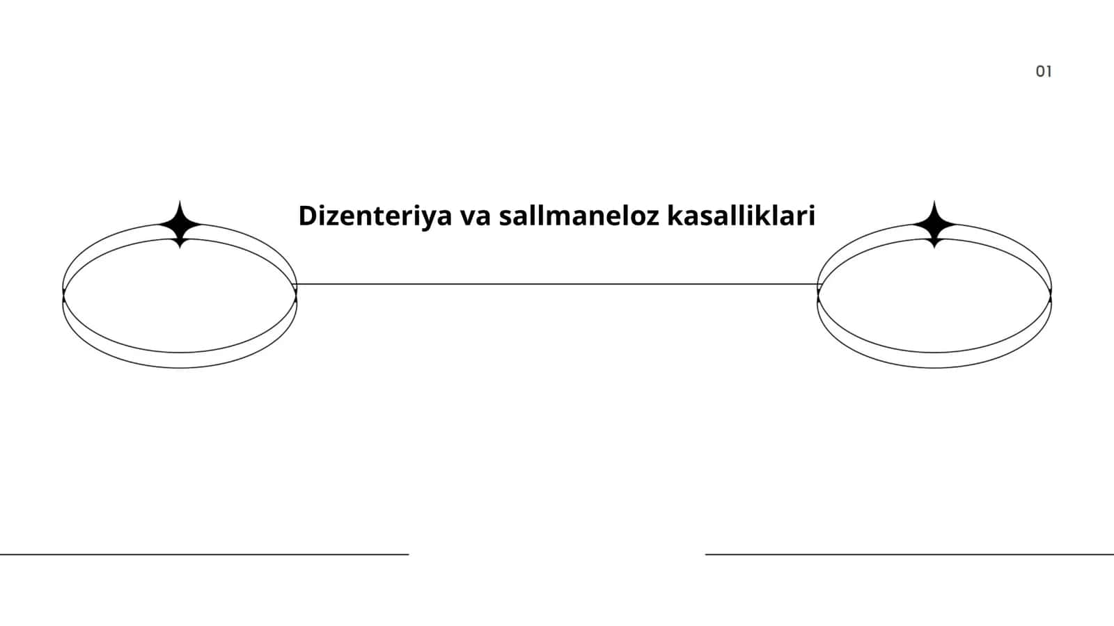 Dizenteriya va sallmaneloz kasalliklari 1