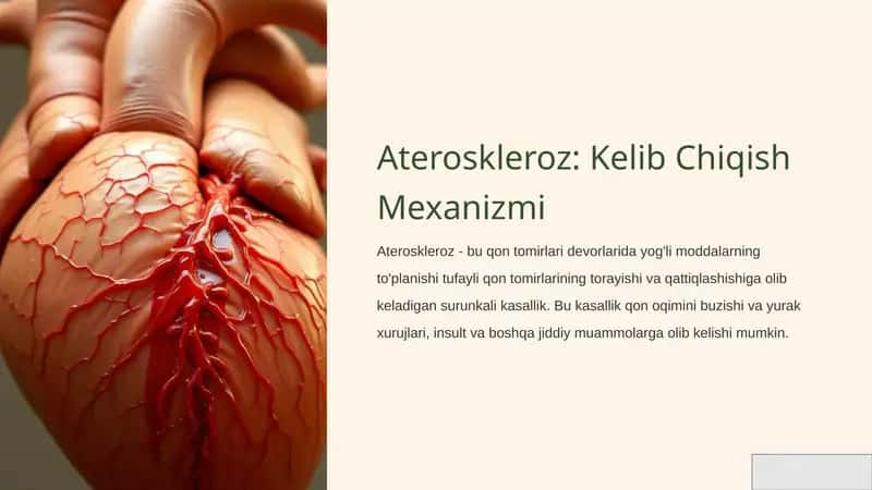 Ateroskleroz: Kelib Chiqish Mexanizmi 1