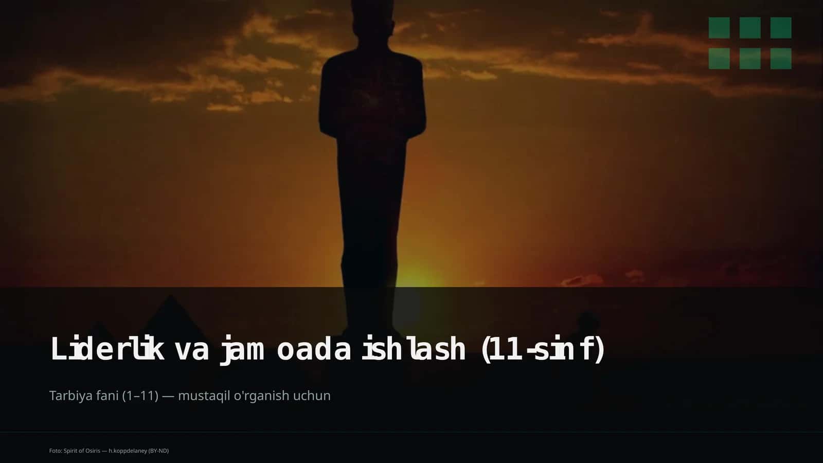 Liderlik va jamoada ishlash (11-sinf) 1