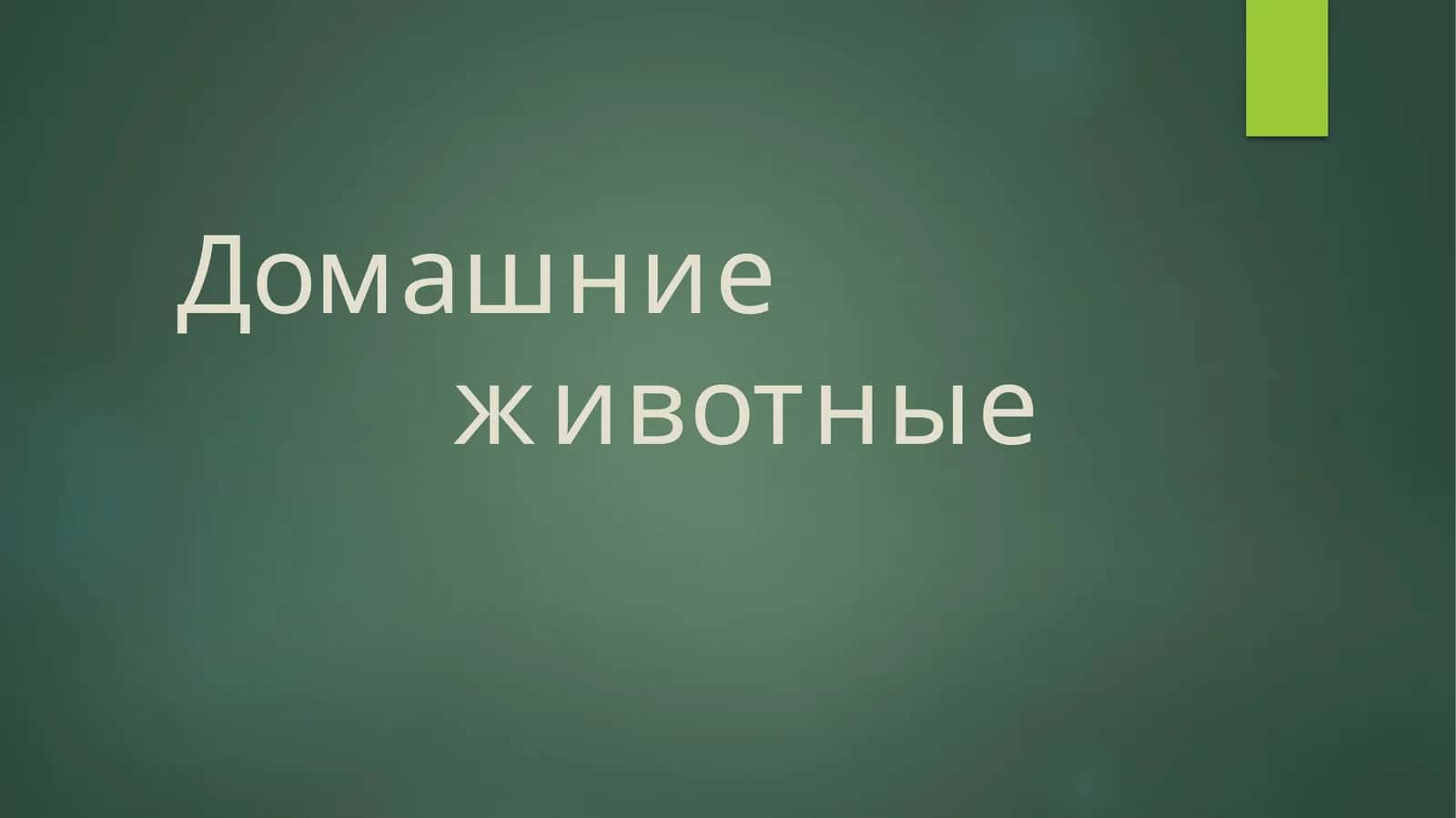 Домашние животные 1