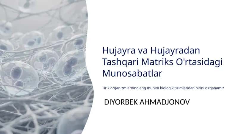 Hujayra va Hujayradan Tashqari Matriks O'rtasidagi Munosabatlar 1